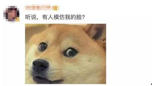 微信表情中的吃瓜是什么意思