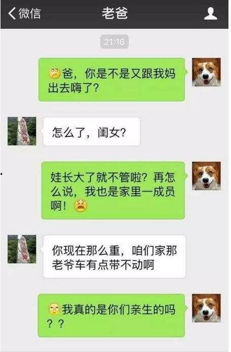 关于娱乐圈吃瓜的幽默段子