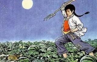 娱乐圈吃瓜的猹小说