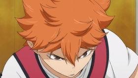 娱乐圈吃瓜的猹小说