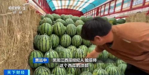 网络吃瓜,揭秘娱乐圈幕后真相