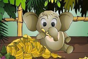 娱乐吃瓜小象,揭秘娱乐圈那些不为人知的幕后故事