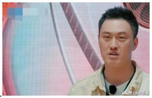 娱乐圈吃瓜爆料滤镜,滤镜下的真实爆料，一探明星幕后生活