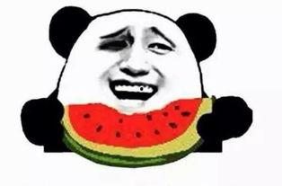 娱乐吃瓜酱空调冷知识,娱乐吃瓜酱带你领略科技魅力